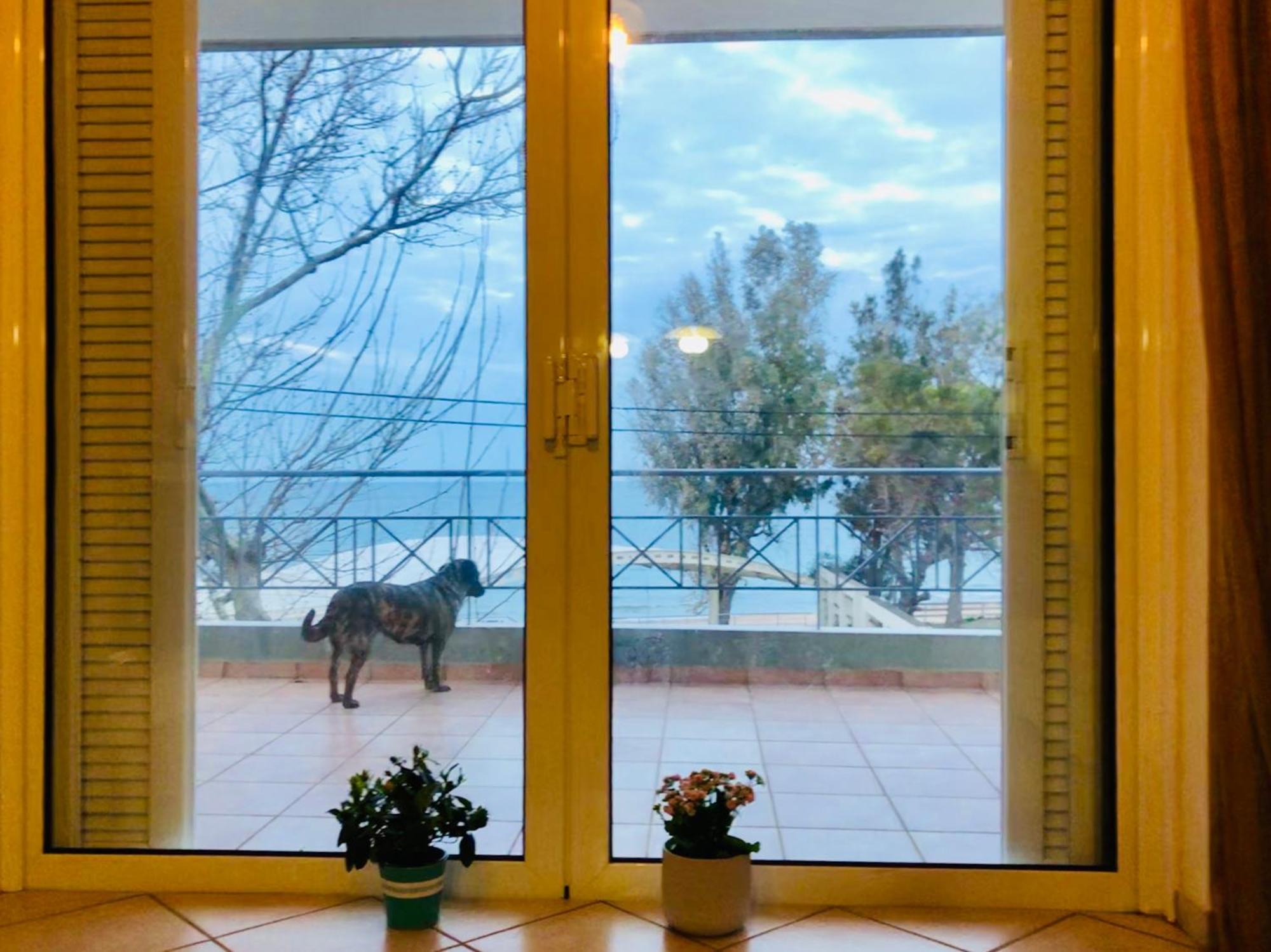 Вілла Chloe'S Sunrise Beach House Афіни Екстер'єр фото